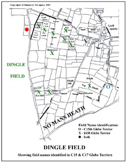 Dingle field