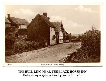 Bull ring
