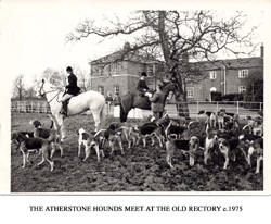 Hunt in paddock