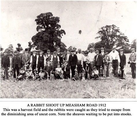 Rabbit shoot